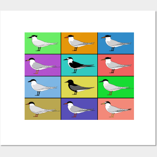 Warhol birds - Terns Posters and Art
